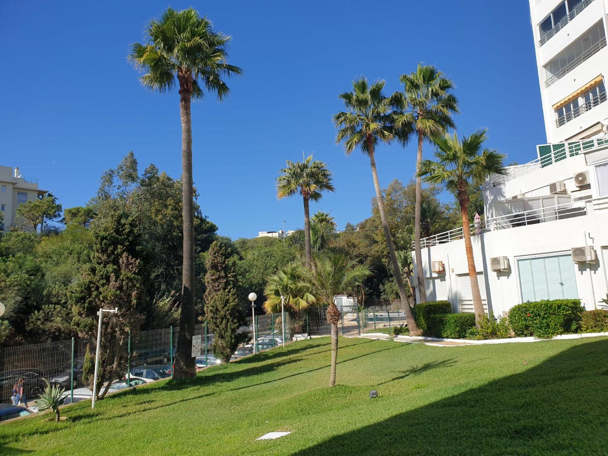 Estudio Con Increibles Vistas. Marbella Exterior photo